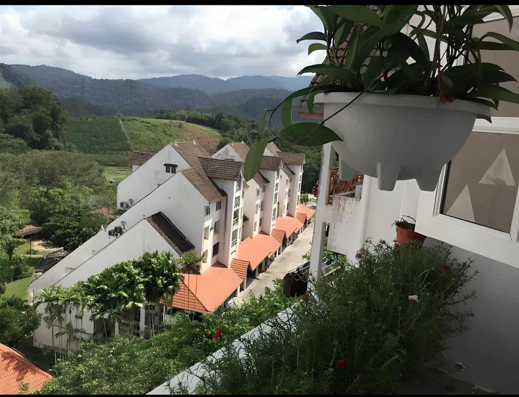 Bukit Tinggi Fuchsia Hillhomes 외부 사진