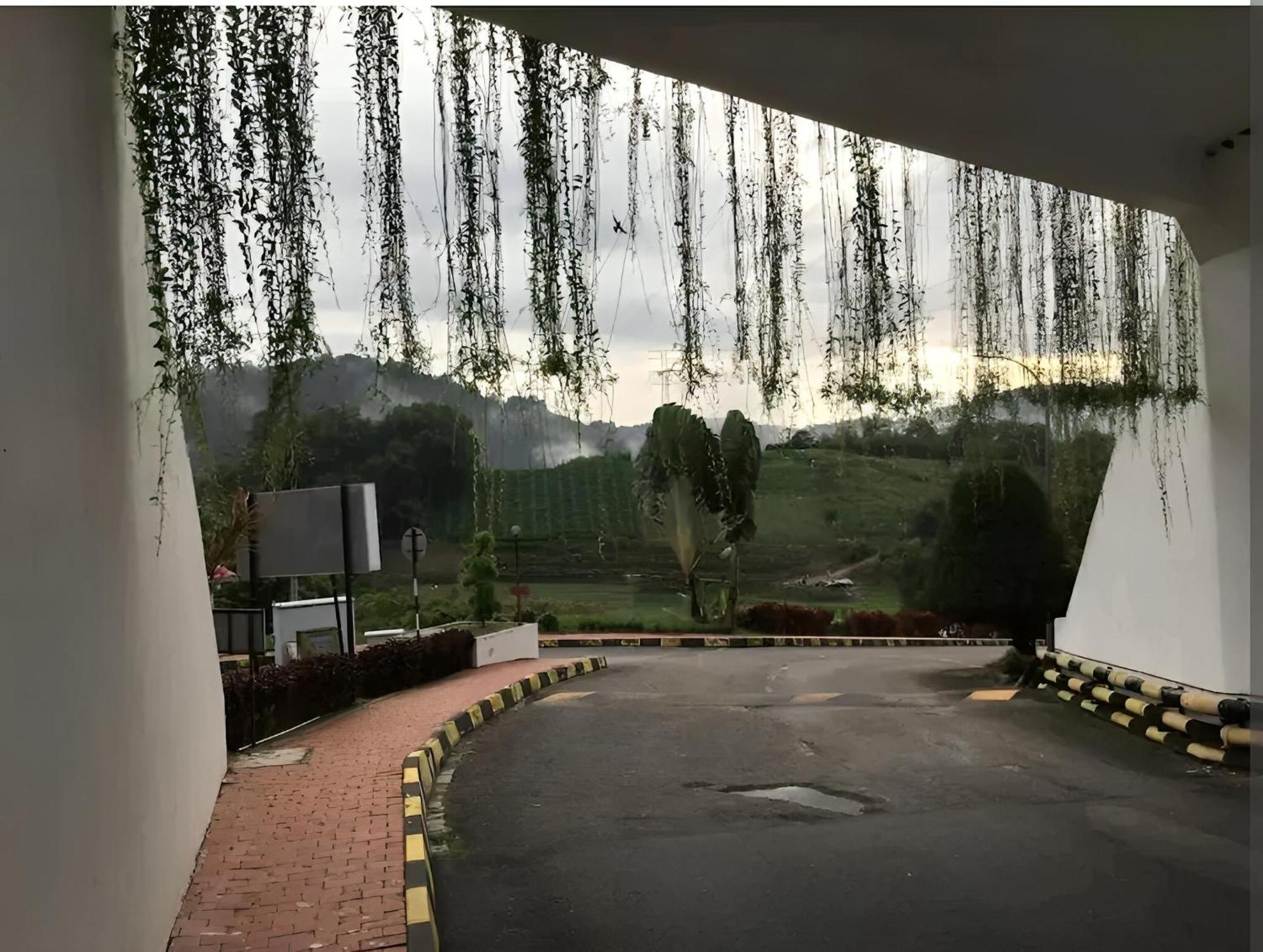 Bukit Tinggi Fuchsia Hillhomes 외부 사진